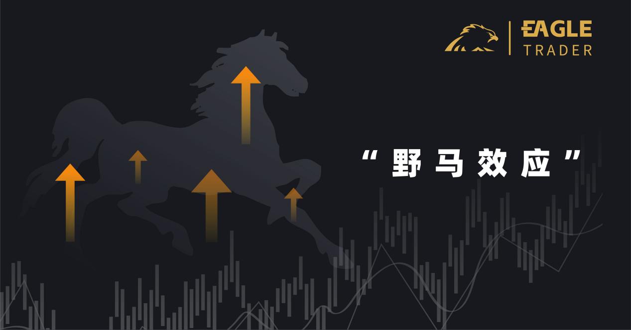 ��廷�� �����
